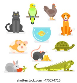 Vector set of various home pets: cat, dog, parrot and others.