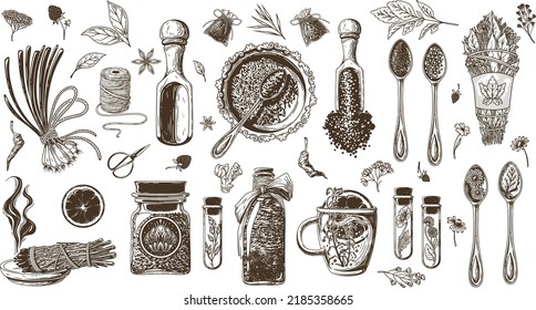 Vector set of various items on the topic of alternative medicine and spices for cooking.
