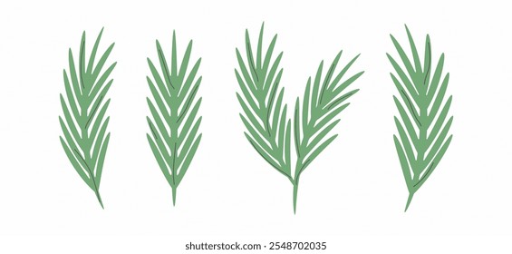 Vector set of various pine branches isolated on a light background. Minimalist decorative collection for greeting cards, invitations, winter designs, packaging, etc.