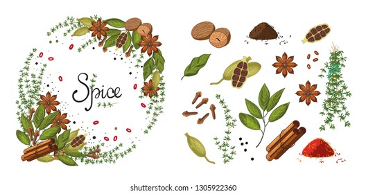 Vector set of various spices in flat style and frame (card) with spices (star anise, nutmeg, thyme, cinnamon, cloves, cardamom, Bay leaf, saffron).