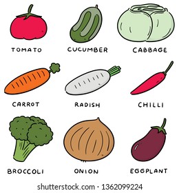 vector set of vegetable