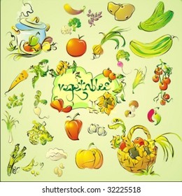 VECTOR Set of vegetables