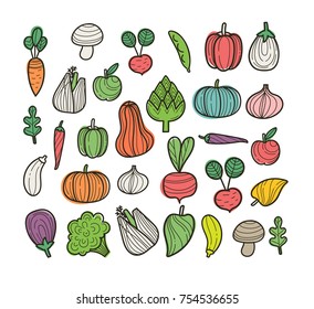 Vector set of vegetables - cabbage, radish, peas, peppers, onions, garlic, apple, arugula, pumpkin, zucchini, eggplant, tomato, artichoke, mushroom, fennel, broccoli