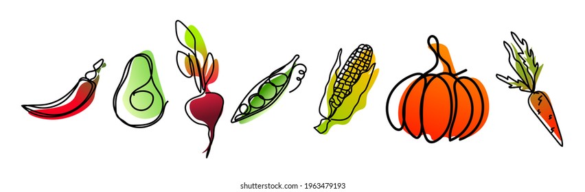 Vector set of vegetables chili pepper, avocado, beetroot, peas, corn, pumpkin, carrot  in one line endless style. Collection with color abstract  spot background. 