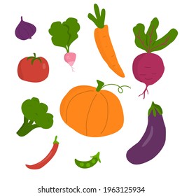 Vector set of vegetables. For decoration, graphic design, etc