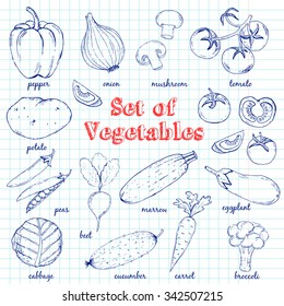 Vector Set of  Vegetables for design menus, recipes and packages product