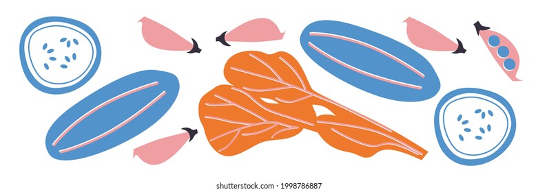 Ilustración plana de vegetales vectoriales. Elementos de dibujos animados de la cosecha del otoño. Montaje de caricaturas de verduras planas. Verduras veraniegas con imágenes prediseñadas.