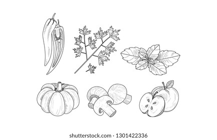 Vector set of vegetables, fruits and herbs in sketch style. Natural food. Hand drawn elements for recipe book