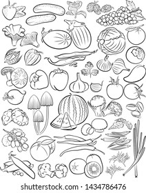 vector set of vegetables and fruits in line art 