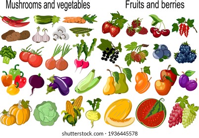 Vector set of vegetables and fruits.Vegetables, mushrooms, berries and fruits in color vector set.