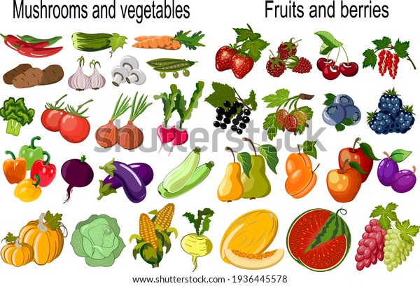 Vector set of vegetables and\
fruits.Vegetables, mushrooms, berries and fruits in color vector\
set.