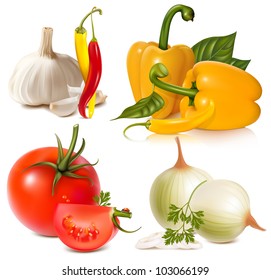 Vector set of vegetables: garlic, chili peppers, bell-peppers, tomatoes and onions