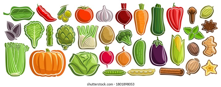 Vector set of Vegetables, group of cut out cartoon indian spices, various minimal design vegetable tags for healthy nutrients, lot collection of agriculture simple icons isolated on white background.