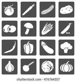 Vector Set of Vegetables Icons. 