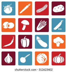 Vector Set of Vegetables Icons. Tomato, Carrot, Cucumber, Potato, Olives, Mushroom, Corn, Peas, Chili Peper, Paprika, Eggplant, Brocolli, Cauliflower, Garlic, Onion, Cabbage, Pumpkin.