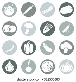 Vector Set of Vegetables Icons. Tomato, Carrot, Cucumber, Potato, Olives, Mushroom, Corn, Peas, Chili Peper, Paprika, Eggplant, Brocolli, Cauliflower, Garlic, Onion, Cabbage, Pumpkin.