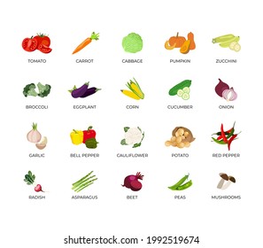 Vector set of vegetables. Tomato, carrot, cucumber, pumpkin, zucchini, broccoli, eggplant, corn, cabbage, onion, garlic, potato, cauliflower, bell pepper, Red pepper, radish, beet, peas, mushrooms, 