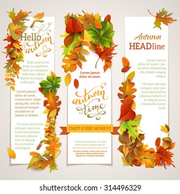 Vector set of vertical autumn banners. Three vector templates. Bright autumn maple, oak, birch, elm, rowan, chestnut, aspen leaves and acorn. Hand-lettering elements. There are places for your text. 