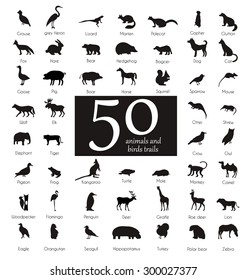 Vector set of very detailed animal silhouettes with name on isolated background.