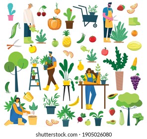 Vector set of village people gardening with organic eco food, flowers and plants in the flat design