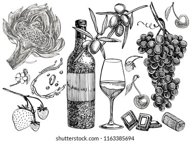 Vector set of vine products. Illustration in sketch style. Hand drawn design elements. Isolated on white background. Engraving style illustrations.