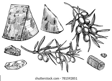 Vector set of vine products. Illustration in sketch style. Hand drawn design elements. Isolated on white background. Engraving style illustrations.
