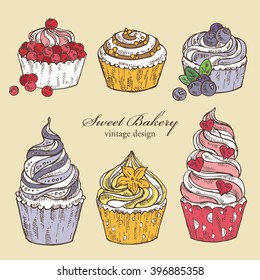 Vector set : Vintage cupcakes , hand drawn