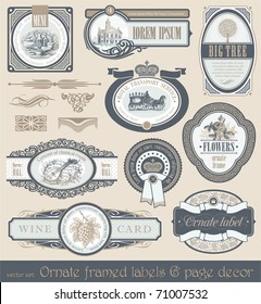 Vector set of vintage framed ornate labels & page decor design element