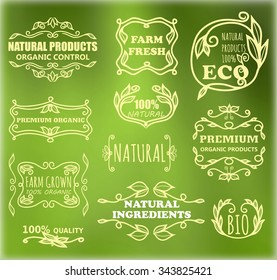 Vector set of vintage frames for eco products