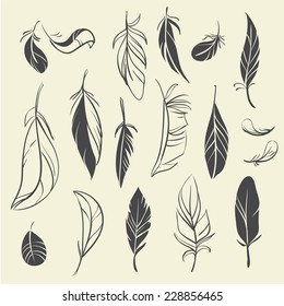 Vector set of vintage hand drawn feathers