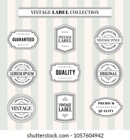 Vector set vintage labels and frame. Vector illustration EPS 10