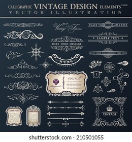 Vector set vintage ornate. Calligraphic design elements and page decoration, collection with royal ornaments