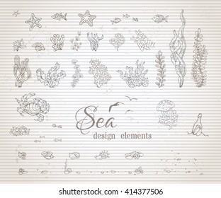 Vector set of vintage sea life design elements. Various shells, algae, fish, jellyfish, starfish, bottle with a letter, key, stones and bubbles on old striped sepia background.