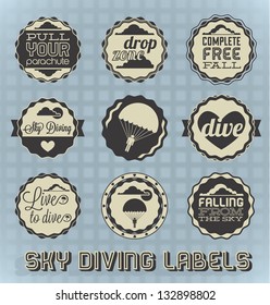 Vector Set: Vintage Skydiving Labels and Icons