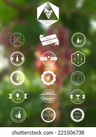 Vector set of vintage wine emblems and badges on blurred background