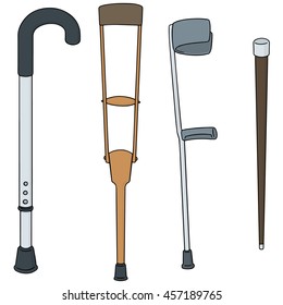 vector set of walking stick