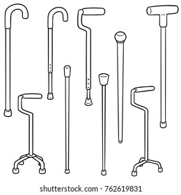 vector set of walking stick