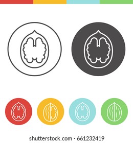 Vector set of walnut icons in thin line style