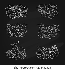 vector set of walnuts, hazelnuts, cashews, pistachios, chestnut, peanut on the chalk board