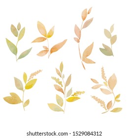 Vector set of watercolor autumn branches, hand drawn illustration of leaves isolated on white background. Floral Design elements.