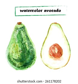 Vector set of watercolor avocado on white background. 