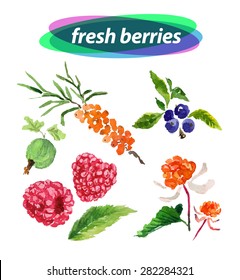 Vector set of watercolor berries elements on white background. Cute illustration is good for magazine or book, poster and card design, menu cover.