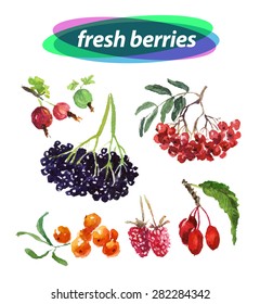 Vector set of watercolor berries elements on white background. Cute illustration is good for magazine or book, poster and card design, menu cover.