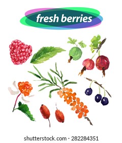 Vector set of watercolor berries elements on white background. Cute illustration is good for magazine or book, poster and card design, menu cover.