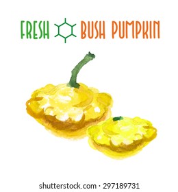Vector set of watercolor bush pumpkin elements on white background. Cute illustration is good for magazine or book, poster and card design, menu cover.