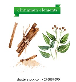 Vector set of watercolor cinnamon hand drawn elements isolated on white background. Herbs, spice, dessert collection. Cinnamon stick roll.