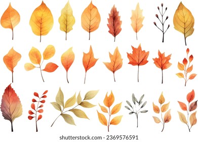 VECTOR, set of watercolor clip art, autumn leaves isolated on a white background
