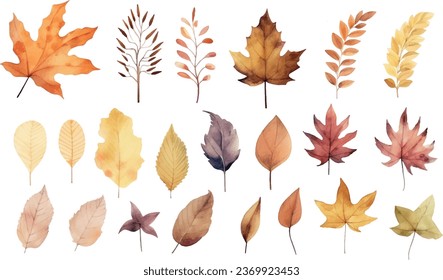 VECTOR, set of watercolor clip art, autumn leaves isolated on a white background