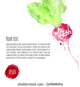 Vector set of watercolor colorful radish for your design. Vector watercolor lemon save the date card with leaves.  Artistic vector design for banners, greeting cards,sales, posters. EPS10