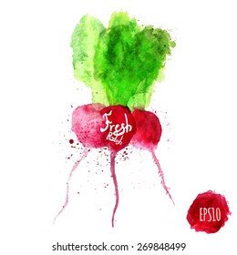 Vector set of watercolor colorful radish for your design. Artistic vector design for banners, greeting cards,sales, posters. EPS10